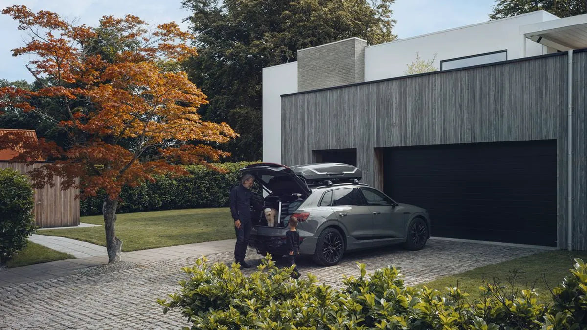 Black/aluminum