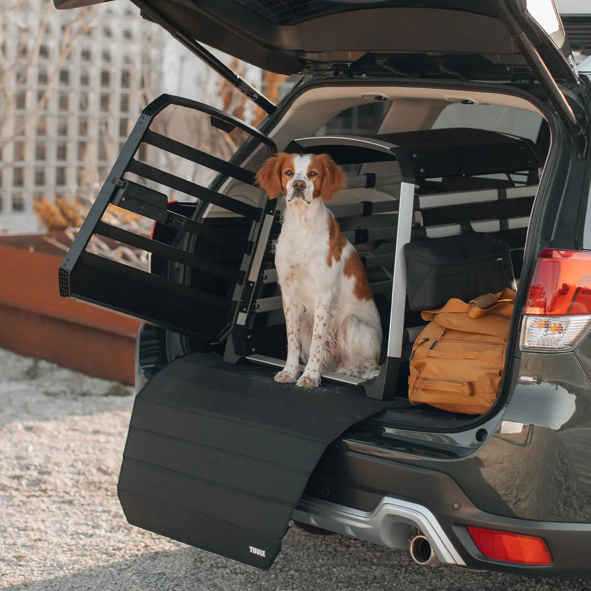 Black/aluminum