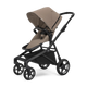 Tinted taupe on black